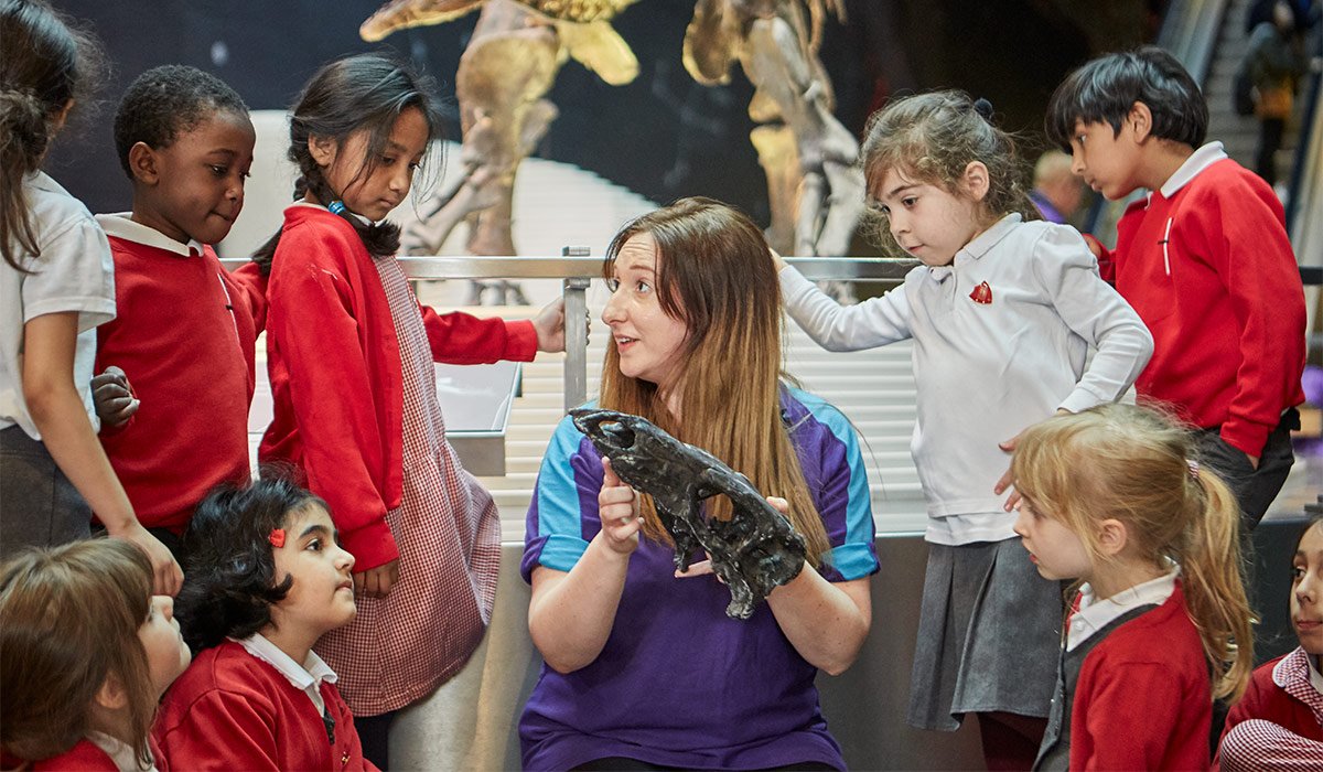 🏛️ 이즈미사노 시립 역사관 (레키시칸 이즈미사노) 이미지 4